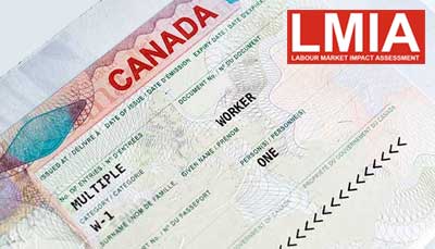 LMIA Canada Consultants in Ludhiana